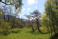 IMG_3604