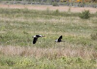 IMG_3640