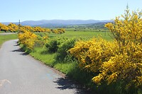 IMG_3667
