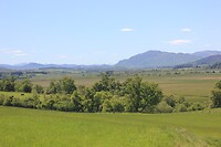 IMG_3693