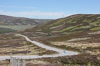 IMG_3721