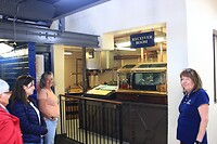 IMG_3737