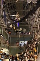 IMG_3981