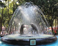 IMG_4592
