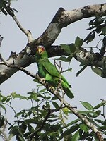 IMG_2468