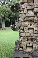 IMG_4707