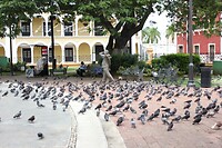 IMG_4821