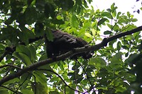 IMG_4911