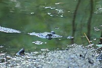 IMG_5410