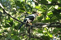 IMG_5448