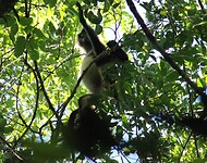 IMG_5458