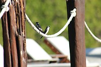 IMG_5543