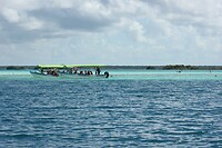 IMG_5557