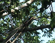 IMG_5476