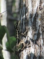IMG_2772