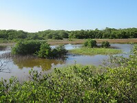 IMG_2782