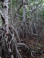 IMG_2842