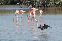 IMG_5691