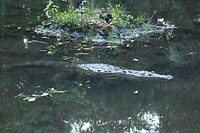 IMG_5757