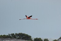 IMG_5834