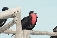 IMG_5849