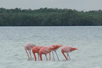 IMG_5866