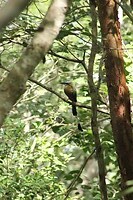 IMG_5956