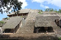 IMG_5981
