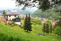 IMG_7343