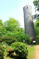 IMG_7356