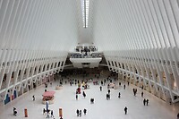 IMG_7590