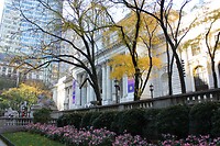 IMG_7681
