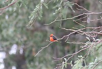 IMG_7814