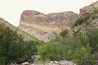 IMG_7895