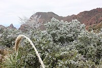 IMG_7909
