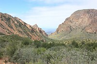 IMG_7917