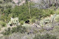 IMG_7925