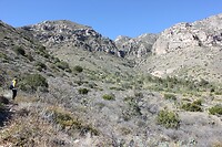 IMG_7996