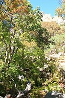 IMG_8001