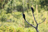 IMG_8022