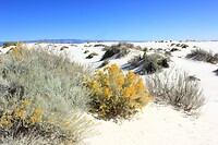 IMG_8079