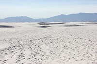 IMG_8099