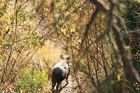 IMG_8113