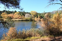 IMG_8120