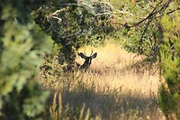 IMG_8132