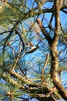 IMG_8147