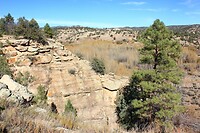 IMG_8149