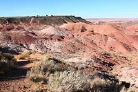 IMG_8189