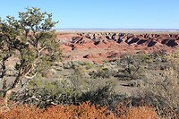 IMG_8200