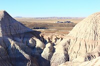 IMG_8245